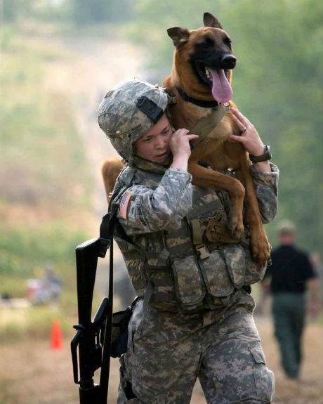 armedforces dogs.jpg